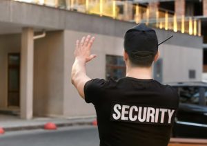 Синергия физической охраны и технических средств